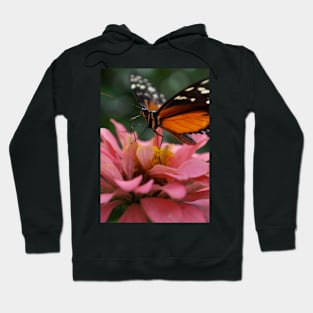 Butterfly on Zinnia Macro Hoodie